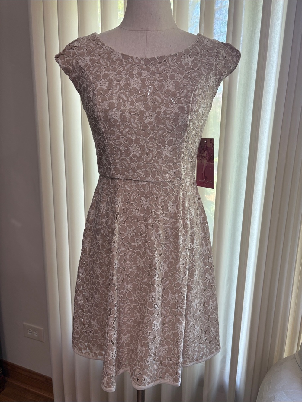 Emerald Sundae tan cream Lace fit and flare mini Dress cap sleeve zip back 5
